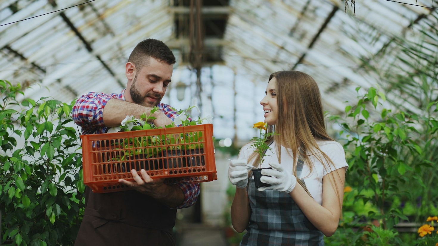 The Art of Propagating Resilient Flora Through Stem Cuttings