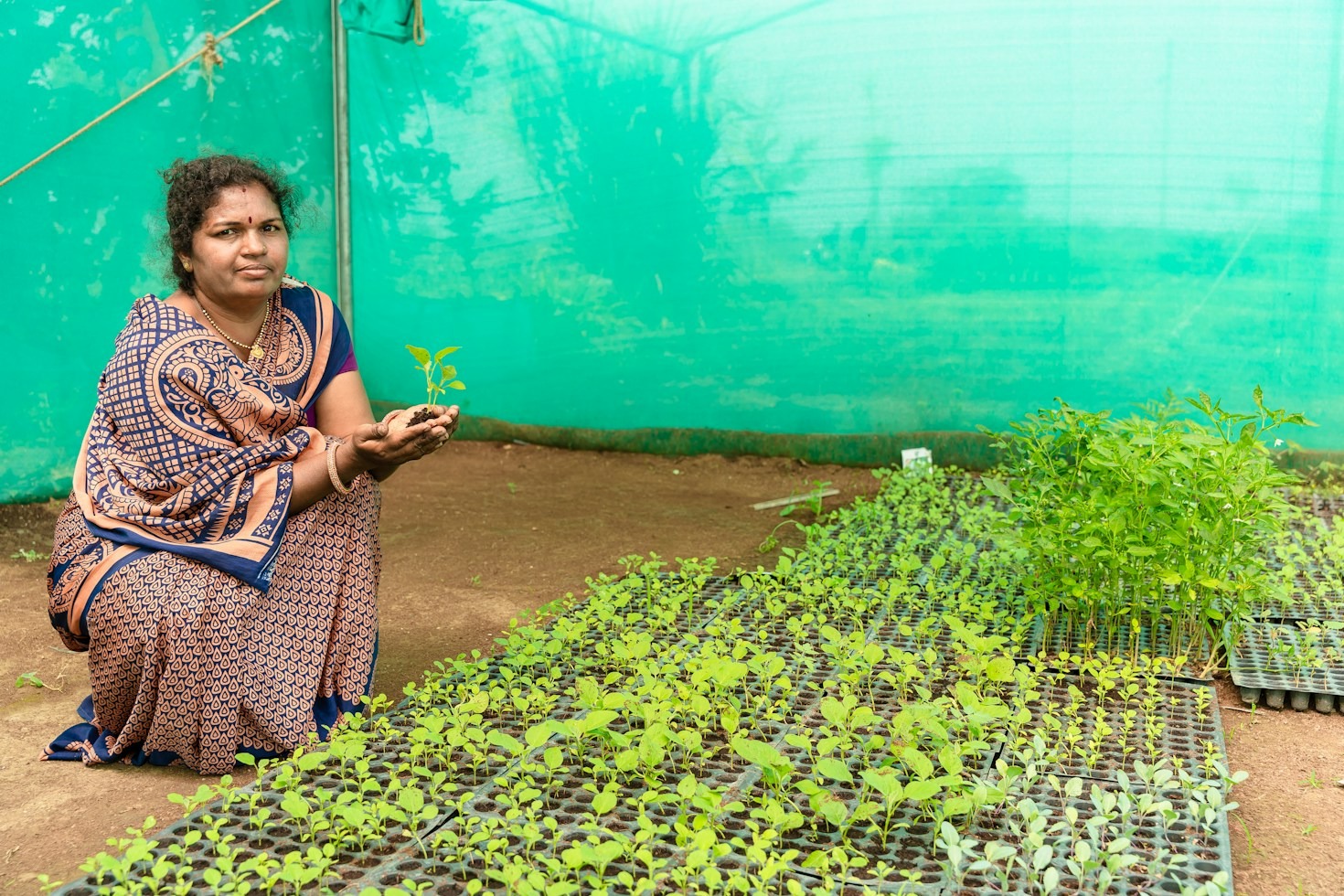 How Organic Cultivation Methods Foster Healthier Urban Gardens